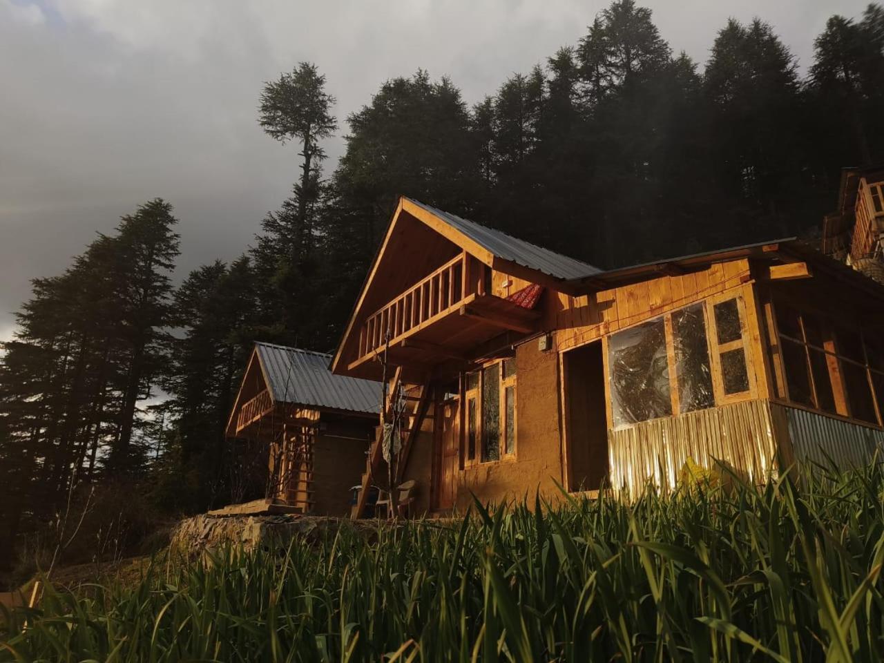 Deep In Woods Villa Jibhi ภายนอก รูปภาพ