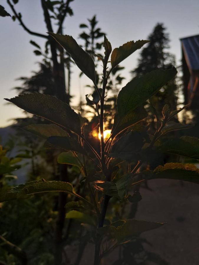 Deep In Woods Villa Jibhi ภายนอก รูปภาพ