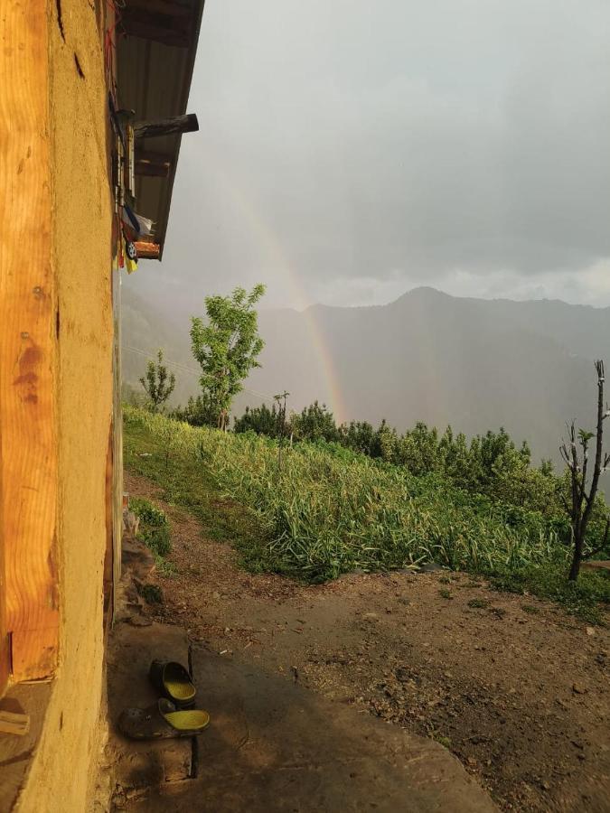 Deep In Woods Villa Jibhi ภายนอก รูปภาพ
